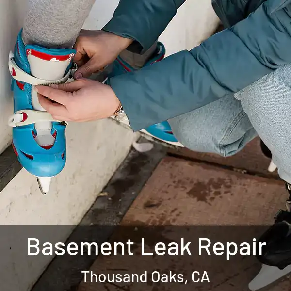  Basement Leak Repair Thousand Oaks, CA