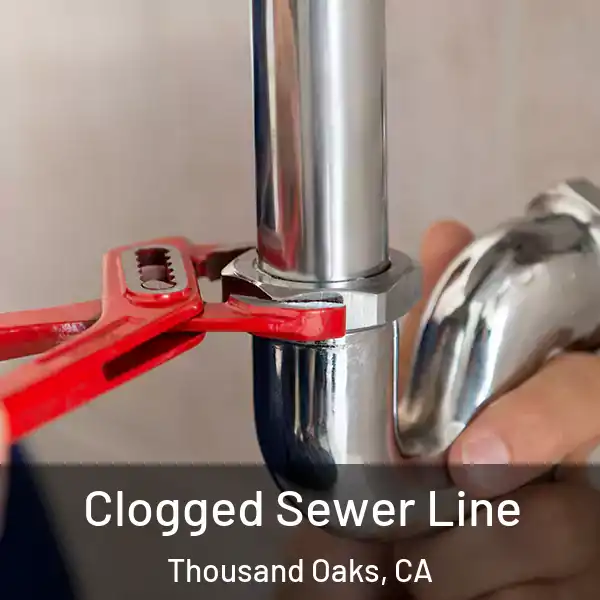  Clogged Sewer Line Thousand Oaks, CA