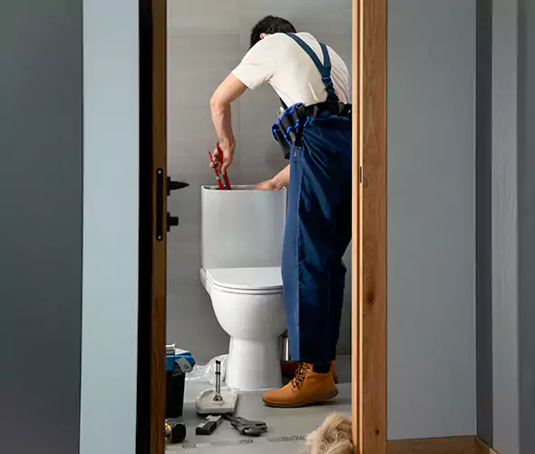 Professional Plumbers for Toilet Bowl Replacement in Thousand Oaks, CA: Schedule Affordable Toilet Replacement Services With Us