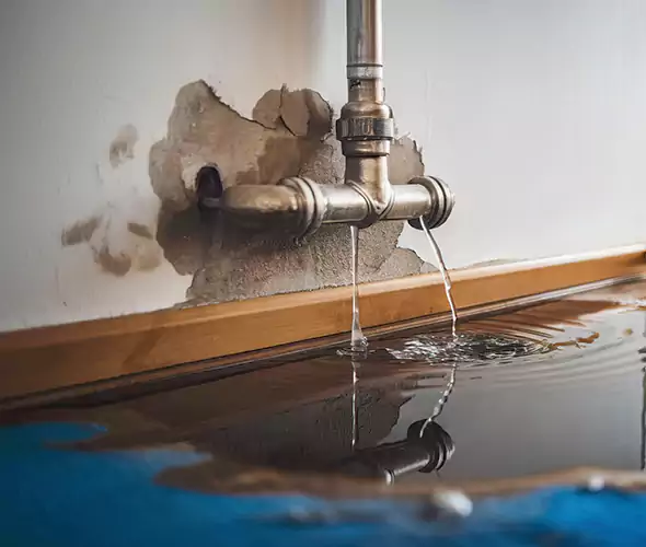 Professional Water Damage Restoration Experts in Thousand Oaks, CA — Fast, Reliable & Certified
