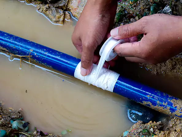  Why Choose Thousand Oaks Plumbing Pro for Leak Detection in Thousand Oaks, CA?]