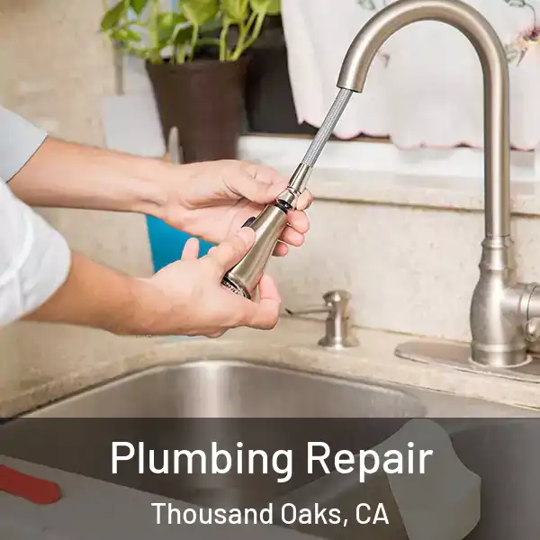  Plumbing Repair Thousand Oaks, CA