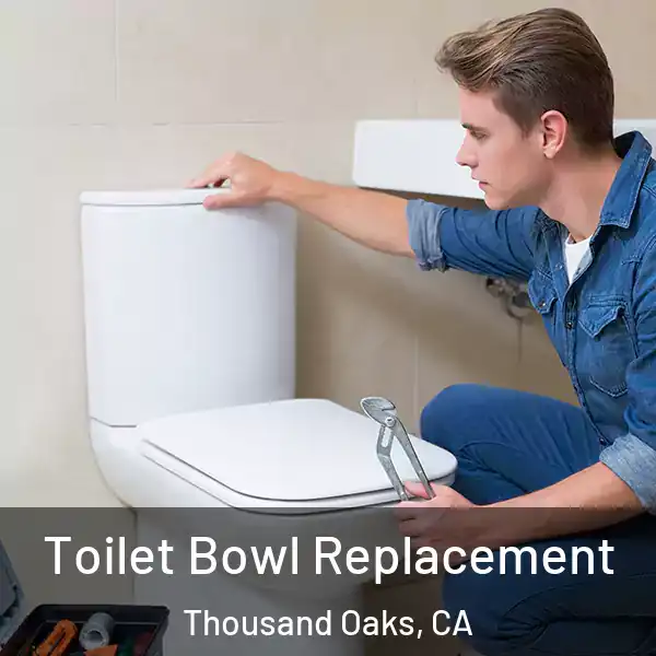  Toilet Bowl Replacement Thousand Oaks, CA