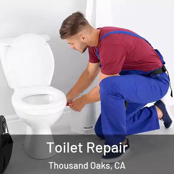  Toilet Repair Thousand Oaks, CA