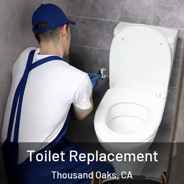  Toilet Replacement Thousand Oaks, CA