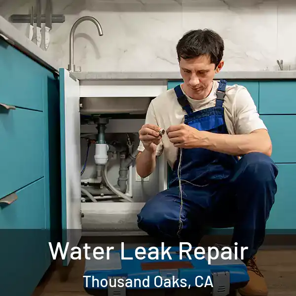  Water Leak Repair Thousand Oaks, CA